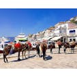 ギリシャ
エーゲ海
イドラ島
車輪の付いた乗り物は禁止されているようで、移動手段は徒歩かロバです。