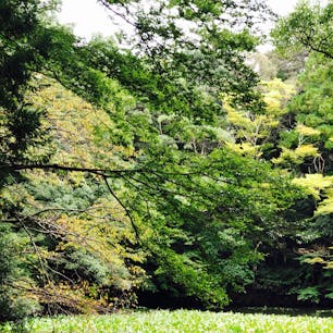 伊勢志摩国立公園に来ました〜！