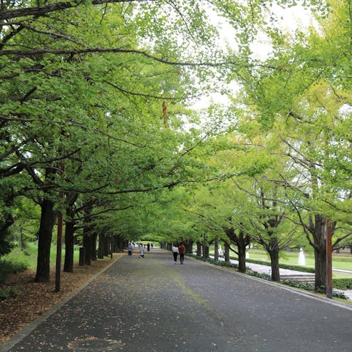 国営昭和記念公園