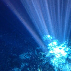 メキシコ
カンクン
セノーテ
シュノーケル