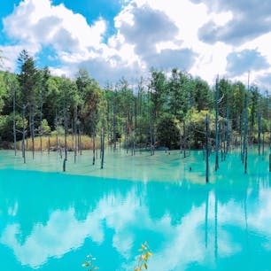 青い池
北海道