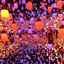 teamlab borderless - Tokyo