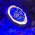 スペイン村の中の太陽の迷路で撮りました〜！
とってもきれい✨