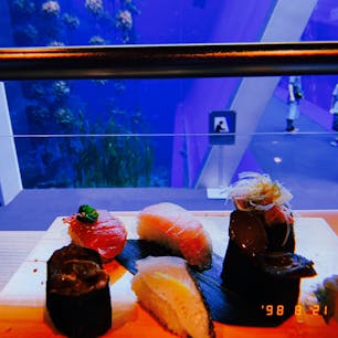 今年の夏は福島県に旅行❤︎ 初の東北 アクアマリンふくしまにて  お魚見ながら食べるお寿司なんて初めてでなんとも言えない感情だったけどとっても美味しかった☺︎#アクアマリンふくしま#福島県#初東北#水族館#お寿司