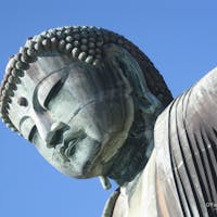 時々逢いたくなるイケメン。鎌倉の大仏さま。


#神奈川県