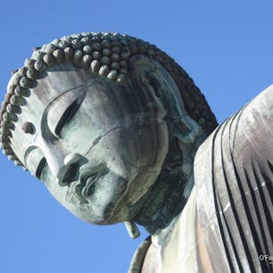 時々逢いたくなるイケメン。鎌倉の大仏さま。


#神奈川県