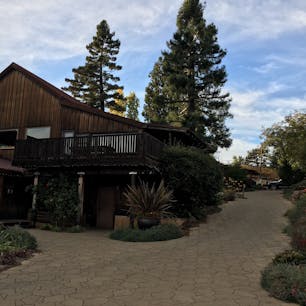 Ridge Vineyards @Cupertino, CA