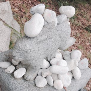 鳥取県

因幡の白兎だぴょん