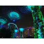 #ガーデンズバイザベイ #マリーナベイサンズ #夜景 #イルミネーション #シンガポール #201909