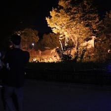 #石川動物園#nightzoo