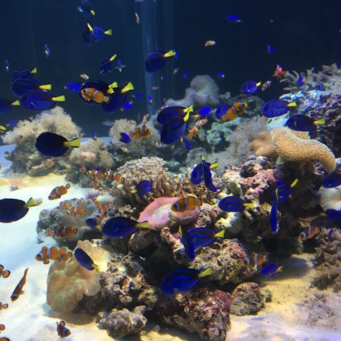 横浜・八景島シーパラダイス