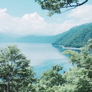 北海道

支笏湖っこ