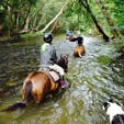 Mount-n-Ride Adventuresにて馬に乗りながら、川を歩けました♪
お迎えにきてくれますよ(^^)
初心者OK