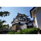 現存12天守のひとつ、彦根城。
真正面ではなく少し離れたところから入るタイプで珍しい、ような？
お城は日本の素晴らしい文化なのに、12しか現存していないのは本当にもったいない。
