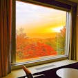 北海道
新富良野プリンスホテル
お部屋の窓の外には、朝日とともに見事な紅葉が広がり、一幅の絵のようでした。ちょうど今頃の時期だったと思います。