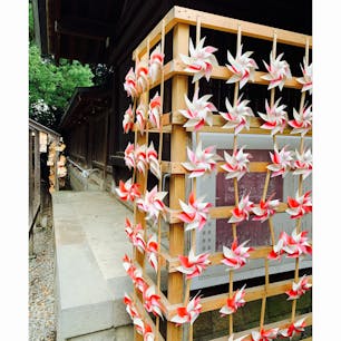 たくさんの風車と奥には絵馬が…✨