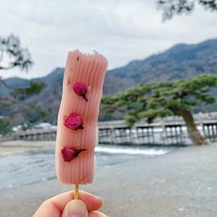 #寺子屋本舗 #嵐山 #京都
2019年2月

季節外れの桜餡団子🍡🌸
