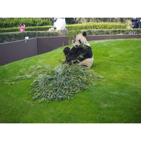 アドベンチャーワールド