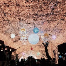 静岡県 

時之栖