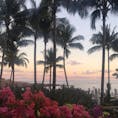 ハワイのリピーターでもなかなか知らないこのラナイ島🌴っていうのも、手つかずの島には信号もファストフード店もなくて、ホテルも島内に2件しかないので少々ハードル高め。あまりに空気が綺麗で、プラネタリウムかのような星が空いっぱいに見えます。