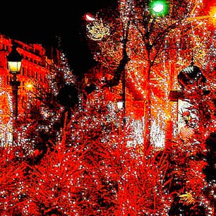フランス
パリ
クリスマスイルミネーション
やはり、パリにはブルー系より暖色系が合うなぁと個人的には思います。