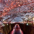 #目黒川 #目黒 #東京
2019年3月

お花見の名所はやっぱり凄い🌸🌸
