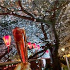 #目黒川 #目黒 #東京
2019年3月

お花見にぴったりな苺の入ったロゼワイン🍓🍷
