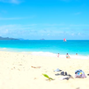 ハワイ ワイマナロビーチ
波が強いため、小さい子とかは水に入るのはやめた方がよさそう。非常に青く、綺麗な海。