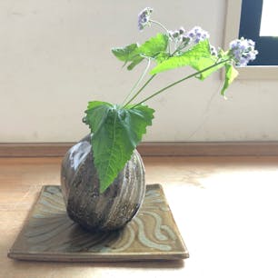 2019/09/16
#兵庫陶芸美術館