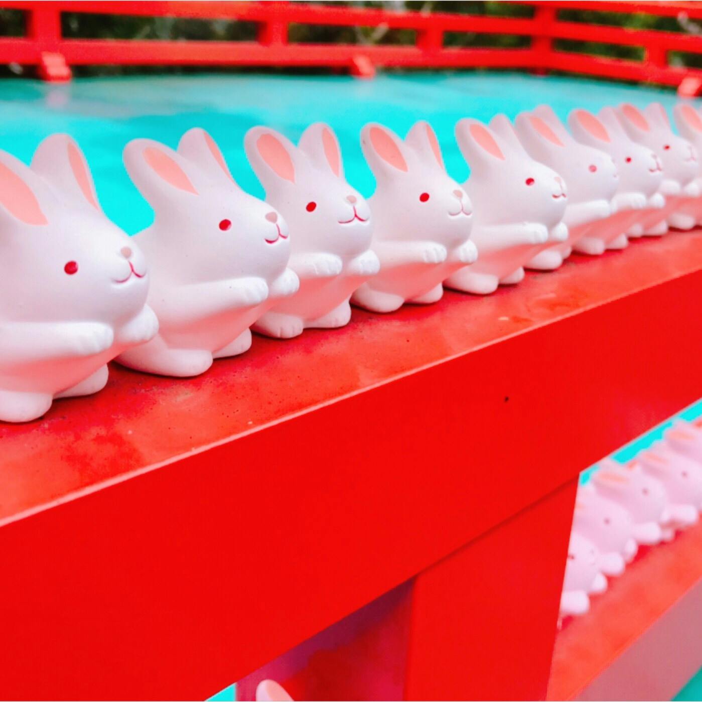 東天王 岡崎神社の投稿写真 感想 みどころ 岡崎神社 可愛いうさぎのおみくじが並んでます トリップノート