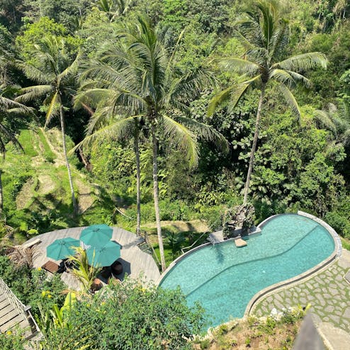 Segara Windhu Coffer Plantation