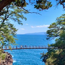 #城ヶ崎海岸 #伊豆 #静岡
2019年3月

端から端まで寄り道して、コースを変えて散策🚶‍♀️🚶‍♂️
想像よりずっと海が青くて綺麗だった！✨