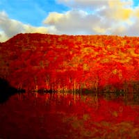 蔦沼の紅葉
朝4時くらいからスタンバイして凍えながら撮影できました！
#蔦沼