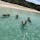 📍Pig Beach 🇧🇸
人懐っこくてエサを持ってなくても近づいてきてくれます🐷

#bahama #nassau #pigbeach #🇧🇸