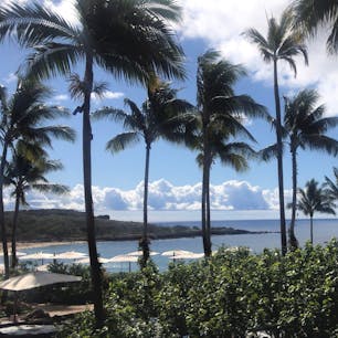フォーシンズラナイからの景色⛱海、山、敷地内はガーデン！もしくはジャングル！みたいな感じ。もちろん綺麗に整えられていて、この景色を眺めながらジャグジーでゆったりしたり夢みたい、最高です。