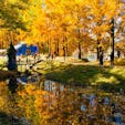 ヨーロッパの秋の風景を感じさせるトーベ・ヤンソンあけぼの子どもの森公園