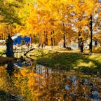 ヨーロッパの秋の風景を感じさせるトーベ・ヤンソンあけぼの子どもの森公園