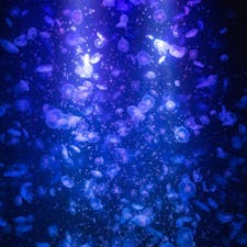 加茂水族館のクラゲドーム