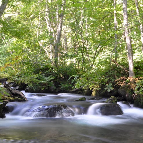 奥入瀬渓流