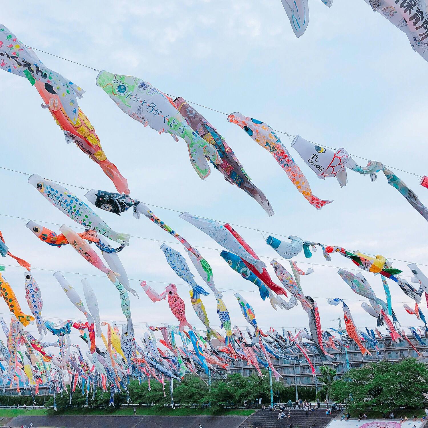 高槻市こいのぼりフェスタ1000の投稿写真 感想 みどころ 大阪高槻こいのぼりフェスタ1000 トリップノート 高槻市こいのぼりフェスタ1000の投稿写真 感想 みどころ 大阪高槻こいのぼりフェスタ1000 トリップノート