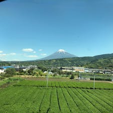 夏も近づく八十八夜
富士山と茶畑も絵になります