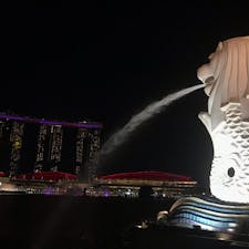 📍Singapore 🇸🇬
マーライオン🦁

#Singapore #🇸🇬