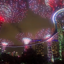 📍Singapore 🇸🇬

#Singapore #🇸🇬