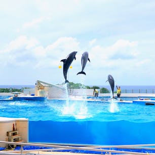 沖縄
美ら海水族館