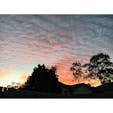📍Brisbane Australia 
オーストラリアの好きなところ①
空が綺麗
#australia #brisbane #sunset
