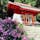 秋田県　田沢湖の近くに鎮座する御座石神社。若さと美しさを保つために龍になったタツ子姫を祀っています。