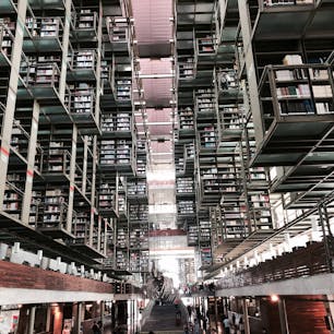 アルベルト・カラチ設計_超未来的図書館in  Mexico City