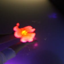 #東京 #豊洲 #チームラボ #20181008