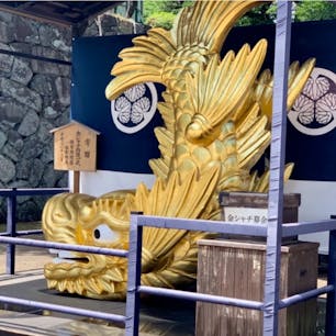 #名古屋城 #名古屋 #愛知
2019年6月

#しゃちほこ って結局なんなの...？🤔🤔