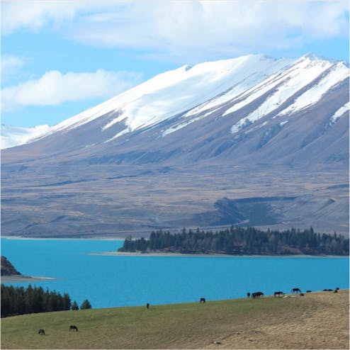 ニュージーランド